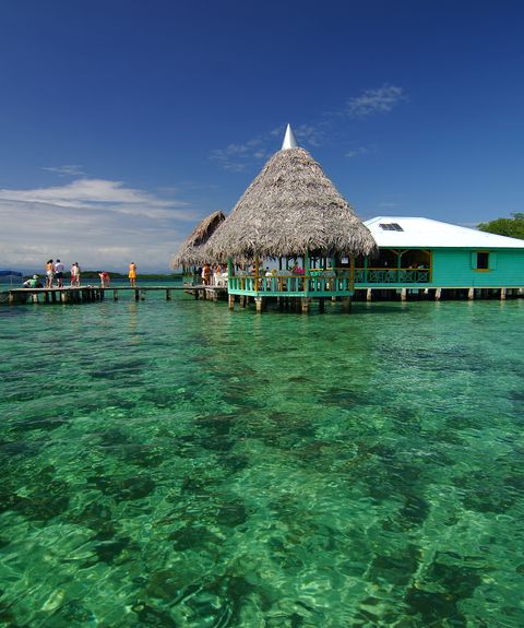  bocas del toro