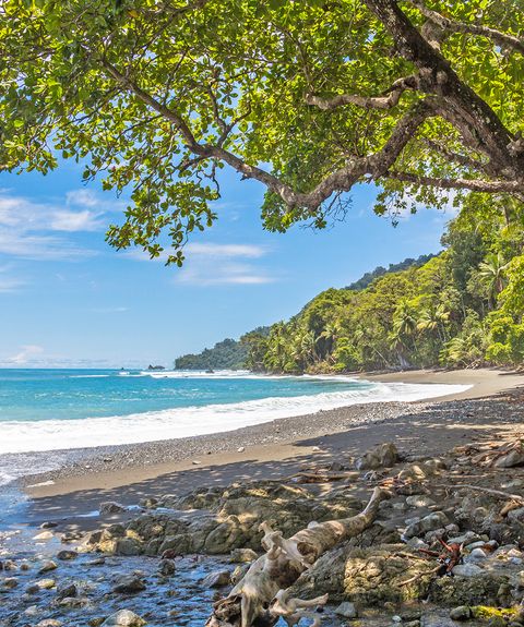 Costa Rica Manuel Antonio Nationalpark