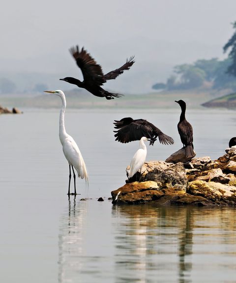 El Salvador_Suchitlan_MesoamericaTours