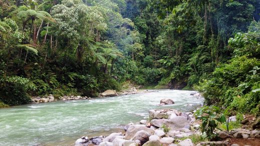Indonesien Sumatra Bukit Lawang Bohorok Flussbett AdobeStock 213076270