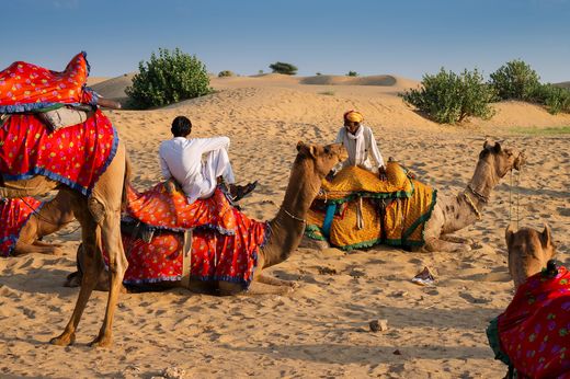 Indien_deposit_Thar Wüste_Kamele