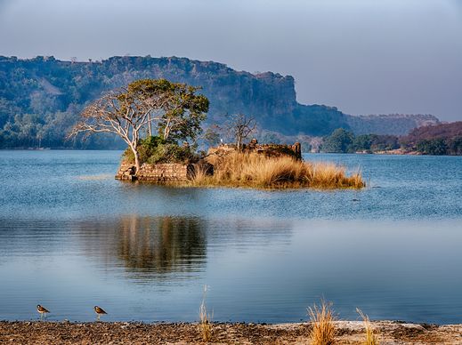 Indien_depositfRanthambore Nationalpark