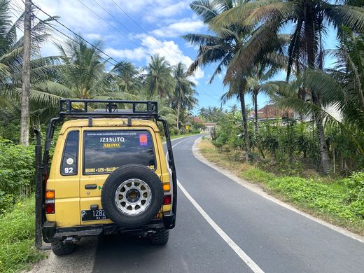 Indonesien_Java_Jeep_Ingo