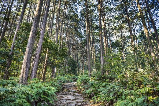 japan_Kumano Kodo