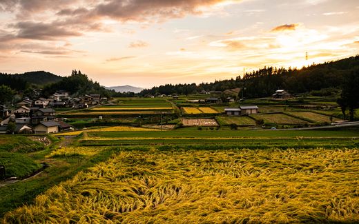 Japan_Magome_Felder_Deposit
