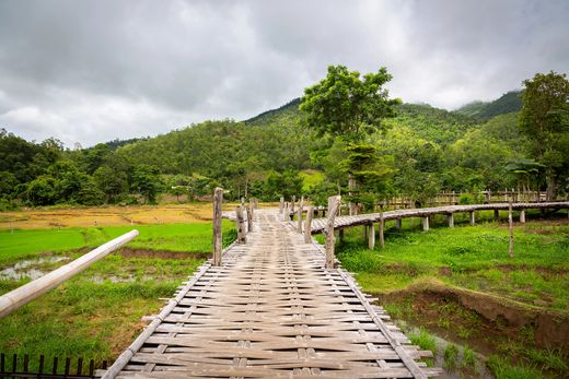 Thailand_Pai_Reisfelder