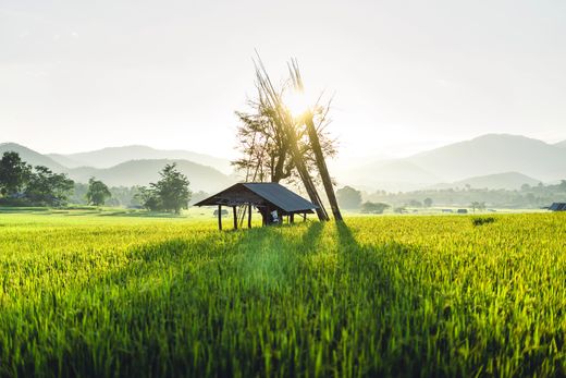 Thailand_Pai_Reisfelder_sonnenuntergang