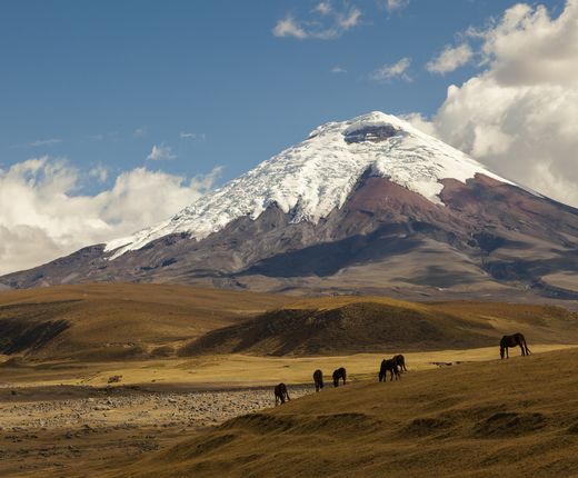 Ecuador Cotopaxi-iStock-469711908