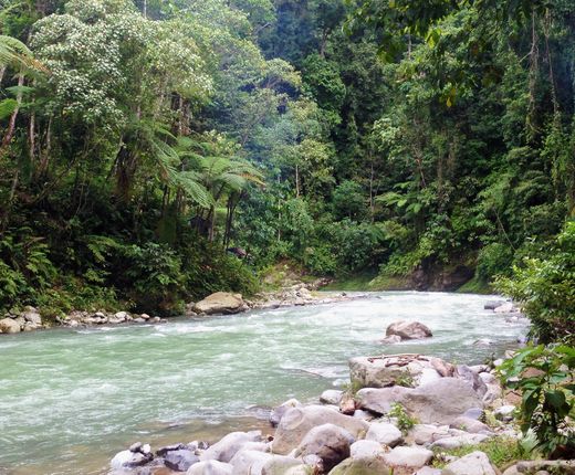 Indonesien Sumatra Bukit Lawang Bohorok Flussbett AdobeStock 213076270