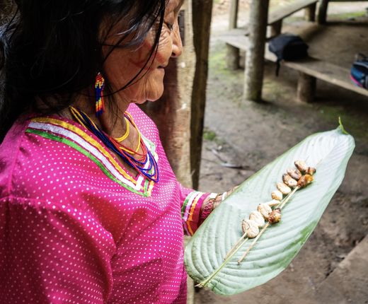 Ecuador-Hakuna Matata-Adobe