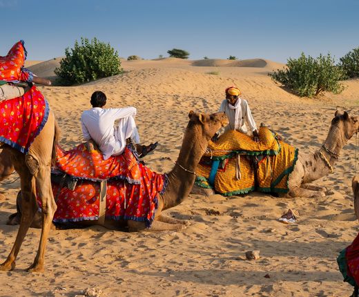 Indien_deposit_Thar Wüste_Kamele