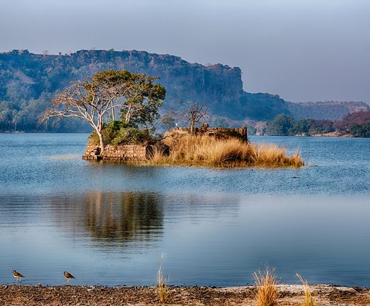 Indien_depositfRanthambore Nationalpark