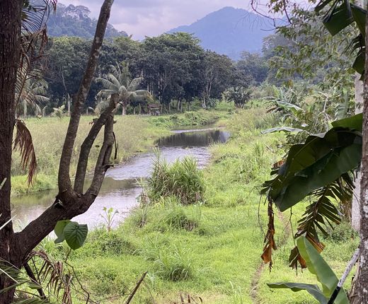 Indonesien_Java_Dschungel_Ingo