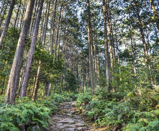 japan_Kumano Kodo