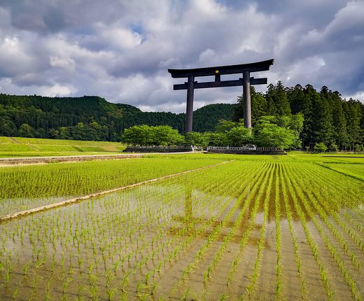 japan_kumano kodo_torii tor