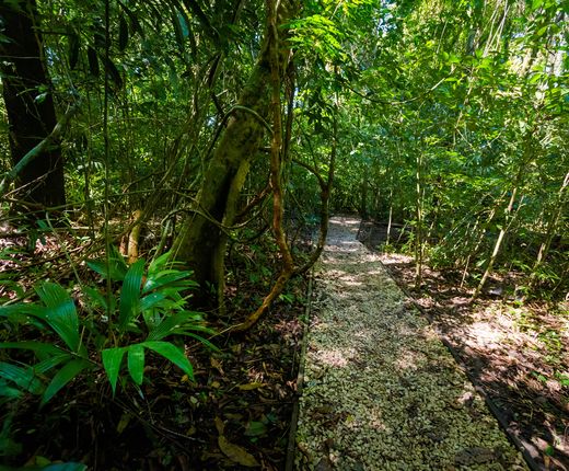 Mexiko_RobertoBarrios_Natur_Deposit