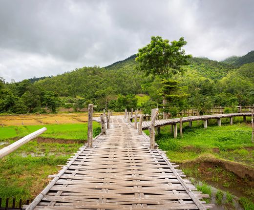 Thailand_Pai_Reisfelder