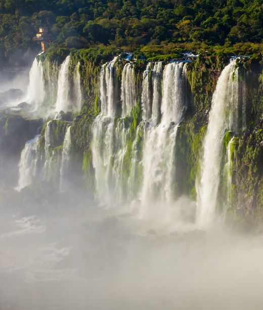 Argentinien - Nationalpark Iguazu - Adope