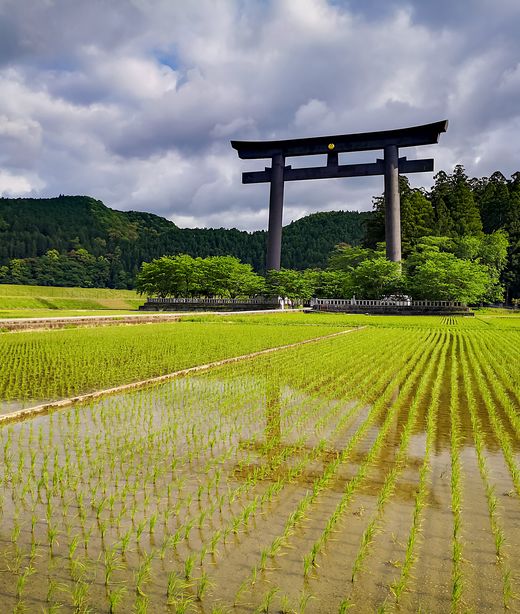 japan_kumano kodo_torii tor