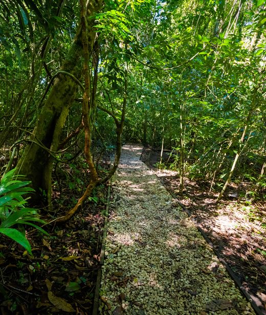 Mexiko_RobertoBarrios_Natur_Deposit