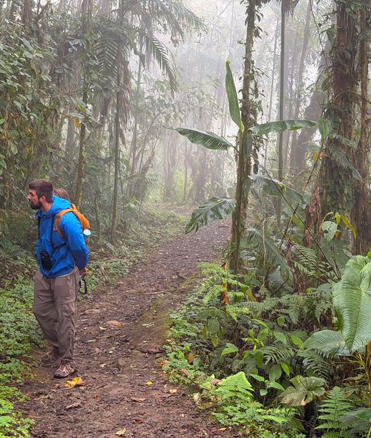 Ecuador - Bella Vista - Wandern im Bergnebelwald