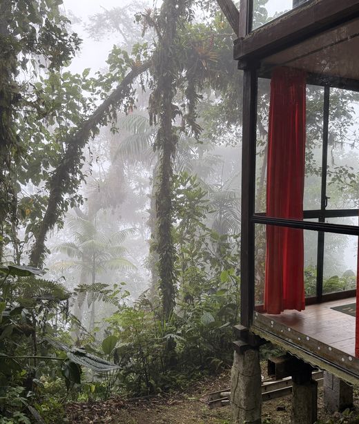 Ecuador_BellaVista_Lodge_Nebel