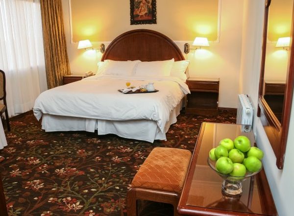 Hotel Coloso Potosí