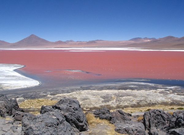 Herberge Laguna Colorada