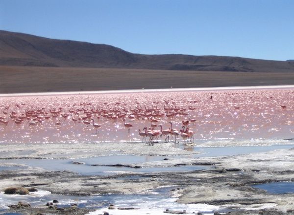 Herberge Laguna Colorada