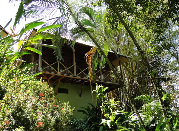 Tabulia Tree Hotel & Villas