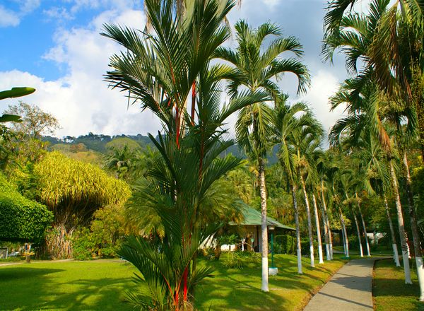 Villas Rio Mar