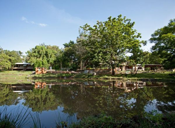 Jungle Hut