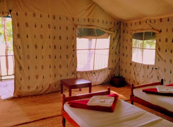 Hornbill Camp