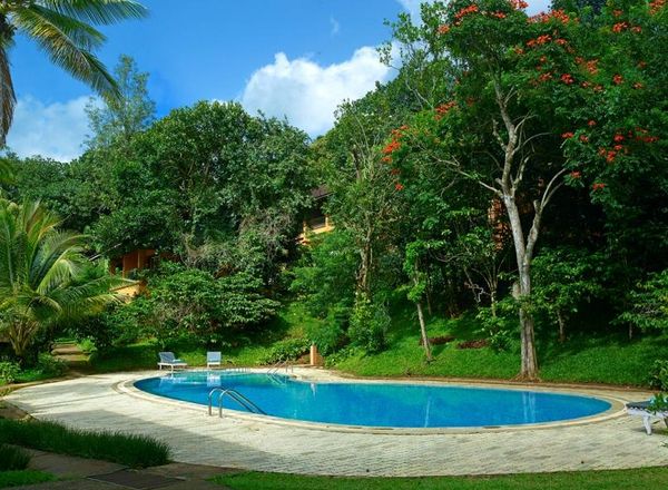 Abad Green Forest