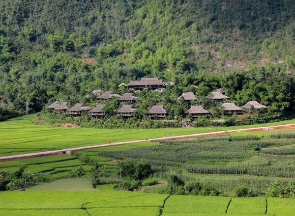 Mai Chau Ecolodge