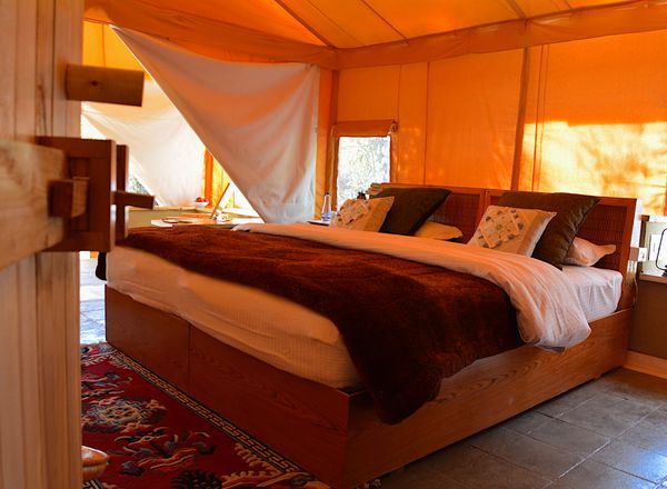 Nubra Organic Retreat