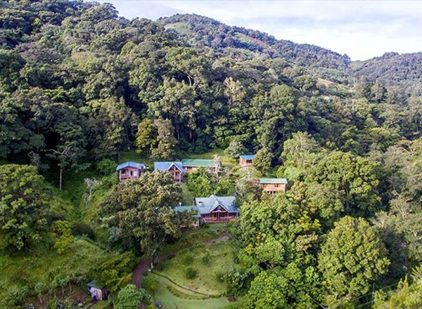 Cedrela Eco Lodge