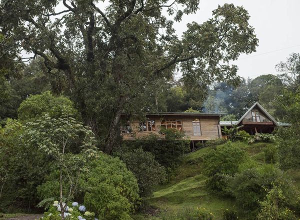 Cedrela Eco Lodge