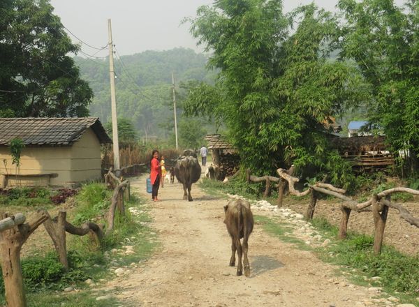 Community Homestay