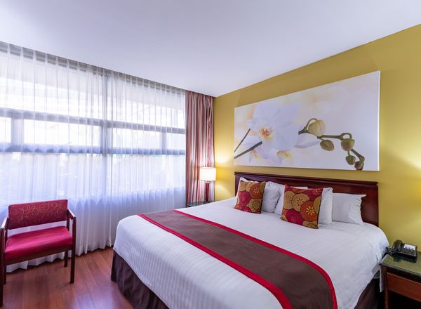 Hotel Palma Real