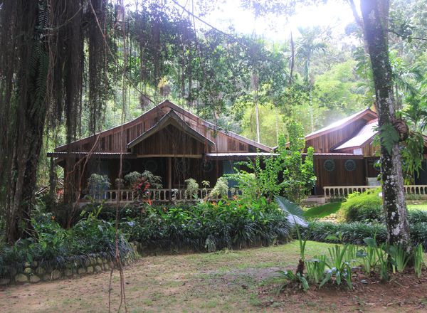 Ecolodge Bukit Lawang Cottage