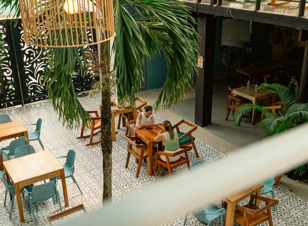 Boutique Hotel Wide Mouth Frog