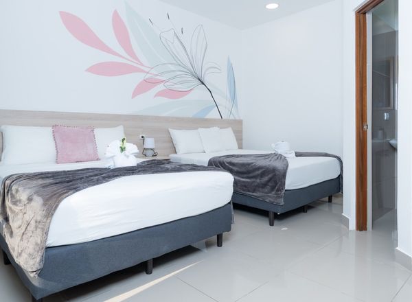 Boutique Hotel Wide Mouth Frog