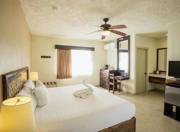 Hotel Petit Lafitte