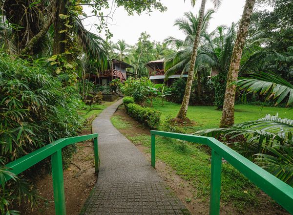 Hotel Poor Man s Paradise