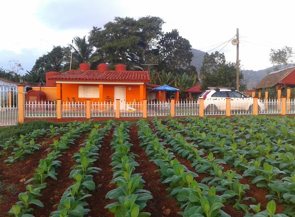 Villa El Habano