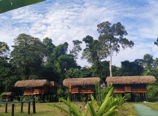 Cuyabeno Tucan Lodge