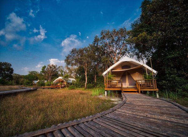 Cardamom Tented Camp