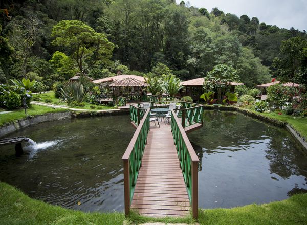 Trogon Lodge