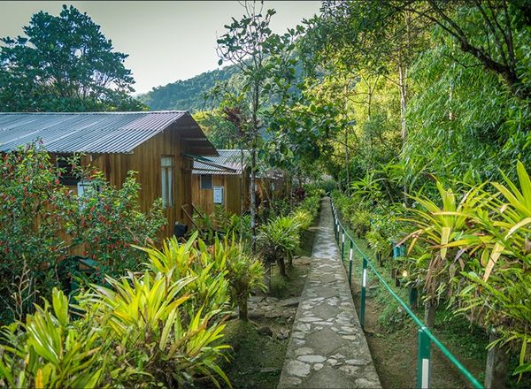 Cock of the Rock Lodge